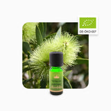 Alambika Tea Tree Organic Essential Oil
