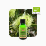Alambika Tea Tree Organic Essential Oil
