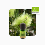 Alambika Tea Tree Organic Essential Oil