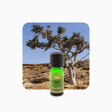 Alambika Frankincense Wild Organic Essential Oil
