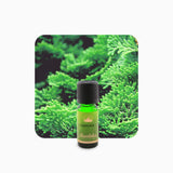 Alambika 野生藍絲柏精油 Cypress Blue Wild Essential Oil