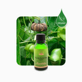 Alambika 有機印加果油 Sacha Inchi Oil Organic