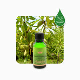 Alambika Sweet Almond Oil Organic