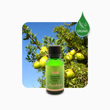 Alambika Argan Oil Organic