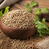 Alambika Coriander Seed Organic Essential Oil