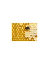 La Saponaria Natural Yellew Beeswax 100g