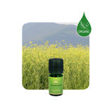 Alambika 野生有機甜茴香精油 Wild Fennel Sweet Organic Essential Oil