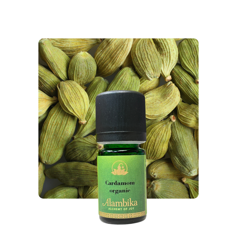 Alambika 有機小豆蔻精油 Cardamom Organic Essential Oil