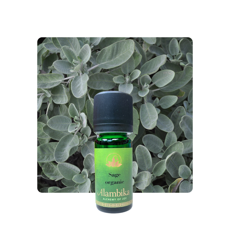 Alambika Sage Essential Oil