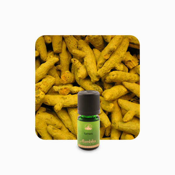 Alambika 有機薑黃精油 Turmeric Organic Essential Oil