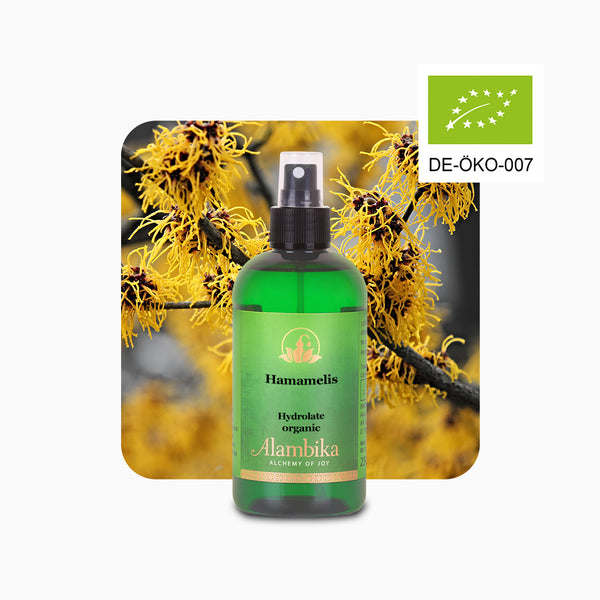 Alambika 有機野生金縷梅花水(純露) Witch Hazel(Hamamelis) Wild Organic Floral Water