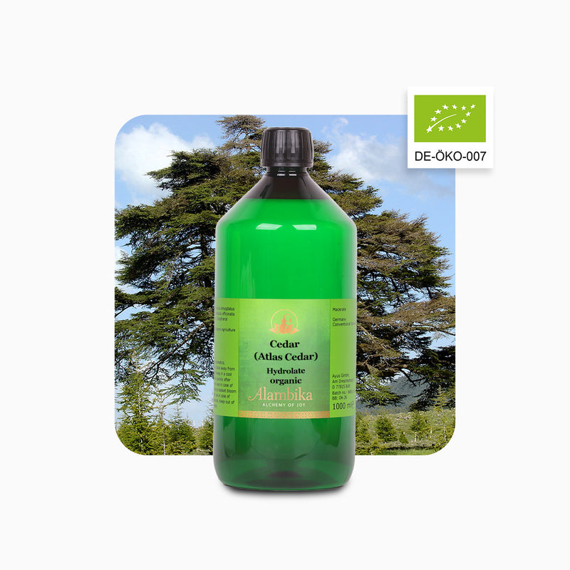 Alambika Cedarwood Atlas Wild Organic Floral Water