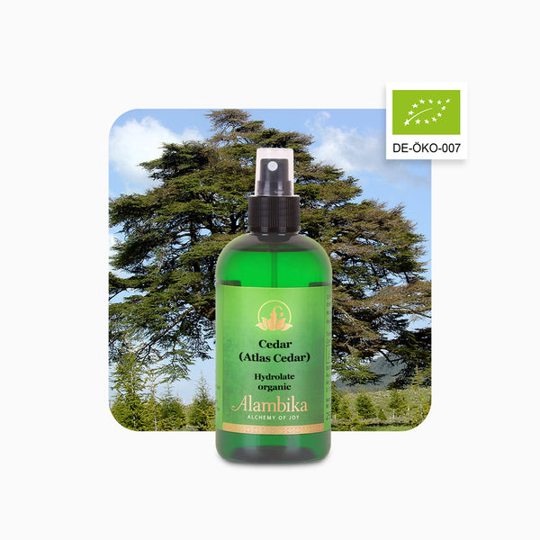 Alambika Cedarwood Atlas Wild Organic Floral Water