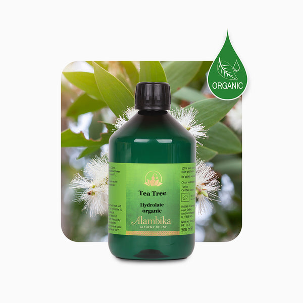 Alambika Tea Tree Wild Organic Flora Water