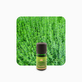 Alambika Winter Savory Wild Organic Essential Oil