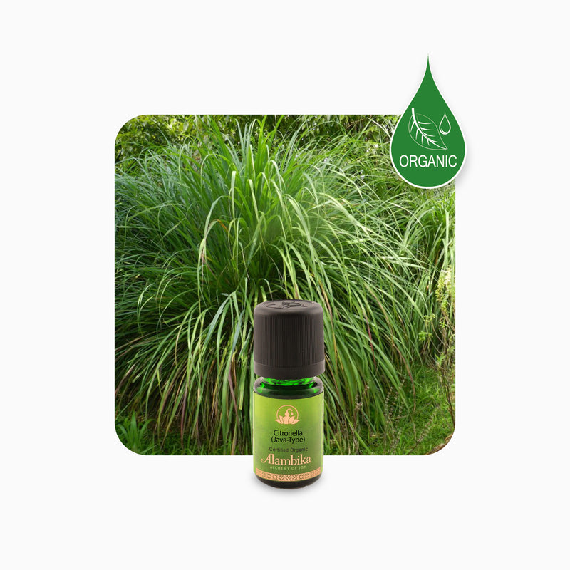 Alambika 有機野生香茅精油 Citronella (Java type) Wild Organic Essential Oil