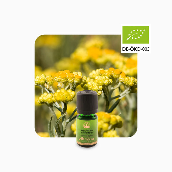 Alambika Immortelle(Helichrysum) Organic Essential Oil