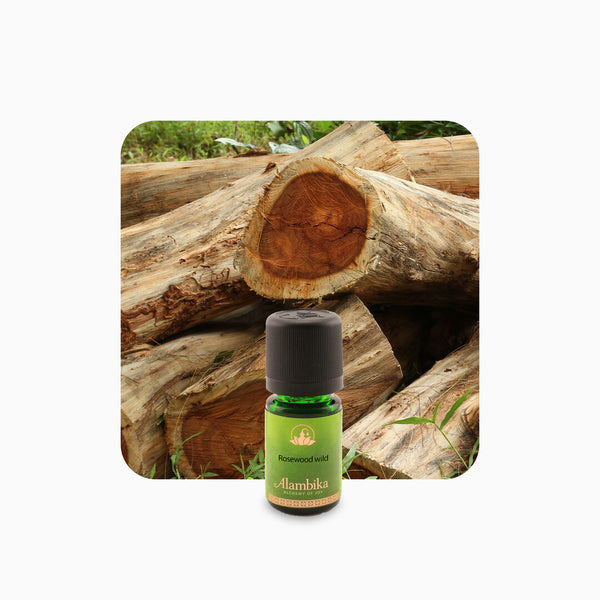 Alambika Indian Sandalwood AGD Wild Essential Oil