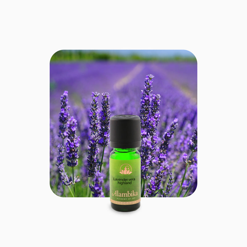 Alambika 有機高地薰衣草精油 Lavender Highland Organic Essential Oil