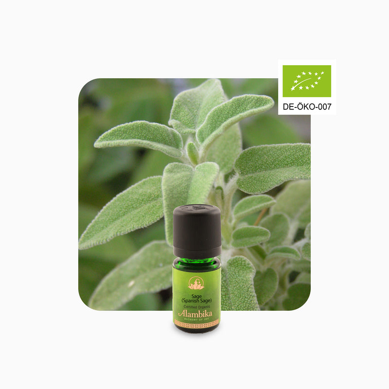 Alambika Sage (Lavender sage) Wild Organic Essential oil