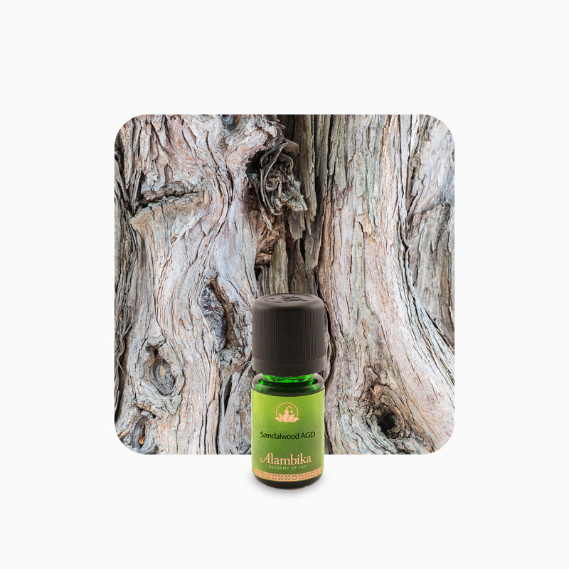 Alambika 野生東印度檀香精油 Indian Sandalwood AGD Wild Essential Oil