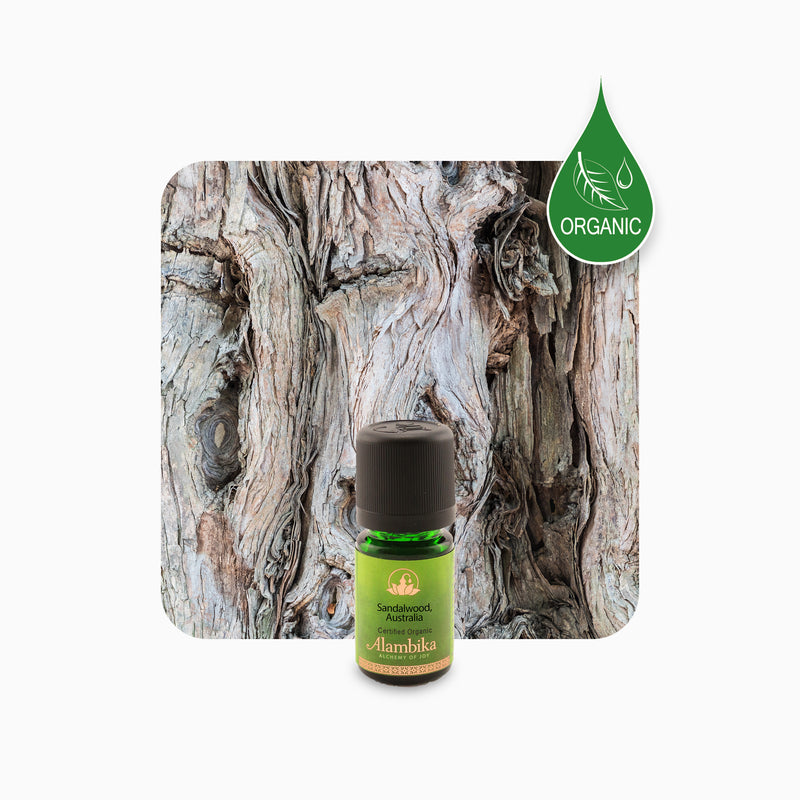 Alambika 有機野生澳洲檀香精油 Australian Sandalwood Wild Organic Essential Oil