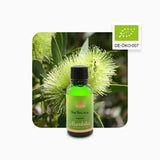 Alambika 有機澳洲茶樹精油 Tea Tree Organic Essential Oil
