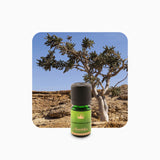 Alambika Frankincense Wild Organic Essential Oil