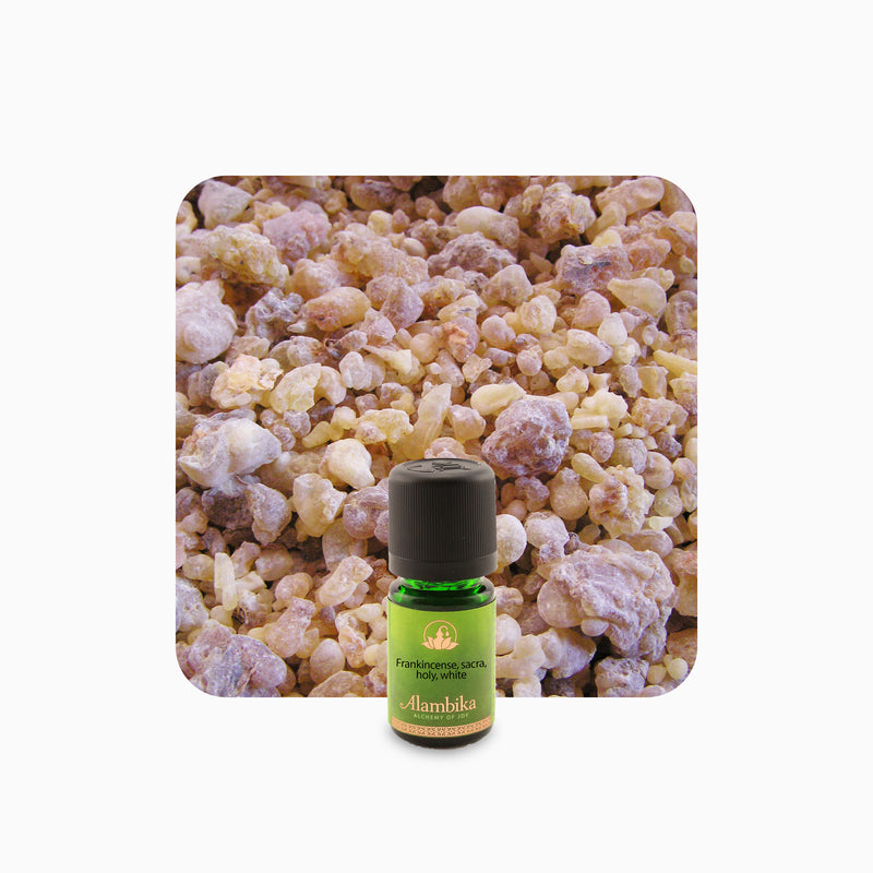 Alambika Oman Frankincense Sacra White Wild Essential Oil