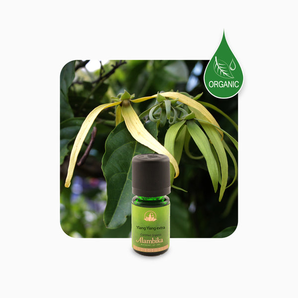 Alambika 有機特級依蘭精油 Ylang Ylang Extra Organic Essential Oil