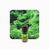 Alambika Cypress Blue Wild Essential Oil