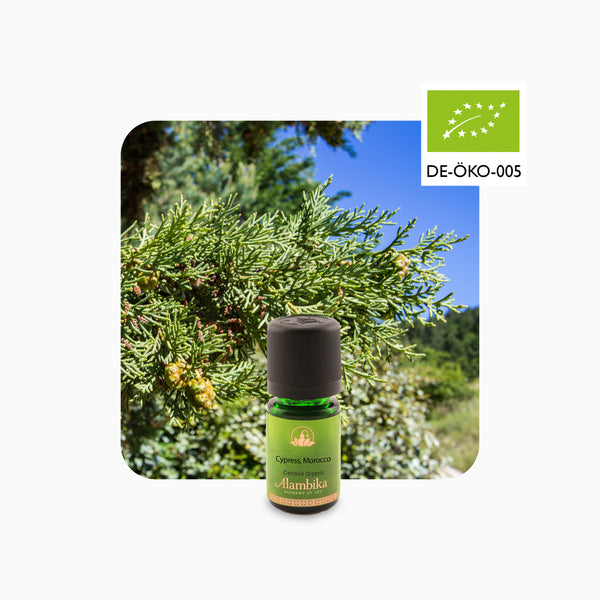 Alambika 野生有機絲柏精油 Cypress Morocco Organic Essential Oil