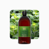 Alambika Peppermint Organic Floral Water