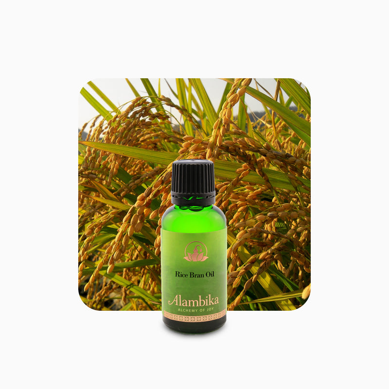 Alambika Rice Bran Oil