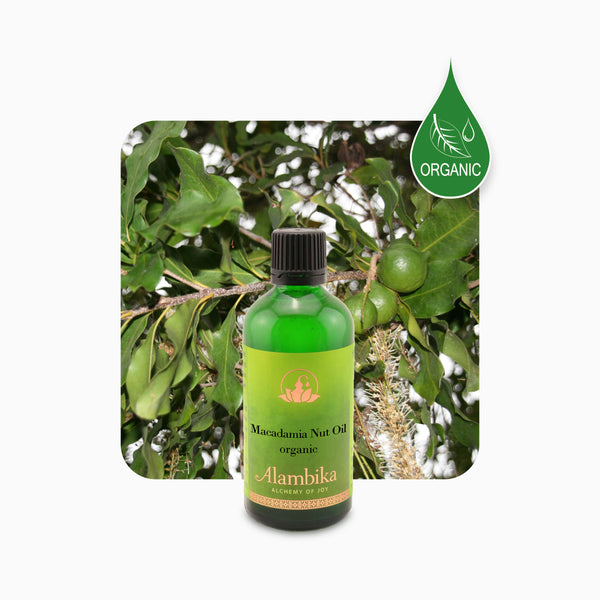 Alambika 有機澳洲堅果油 Macadamia Nut Organic
