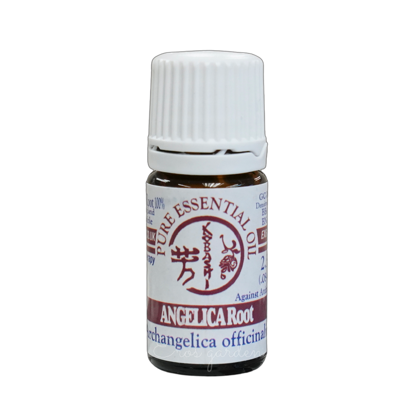 Kobashi Angelica Root Essential Oil