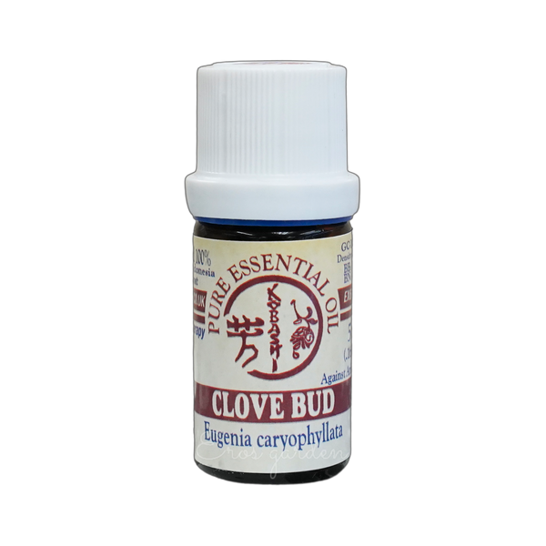 Kobashi 丁香花苞精油 Clove Bud Essential Oil