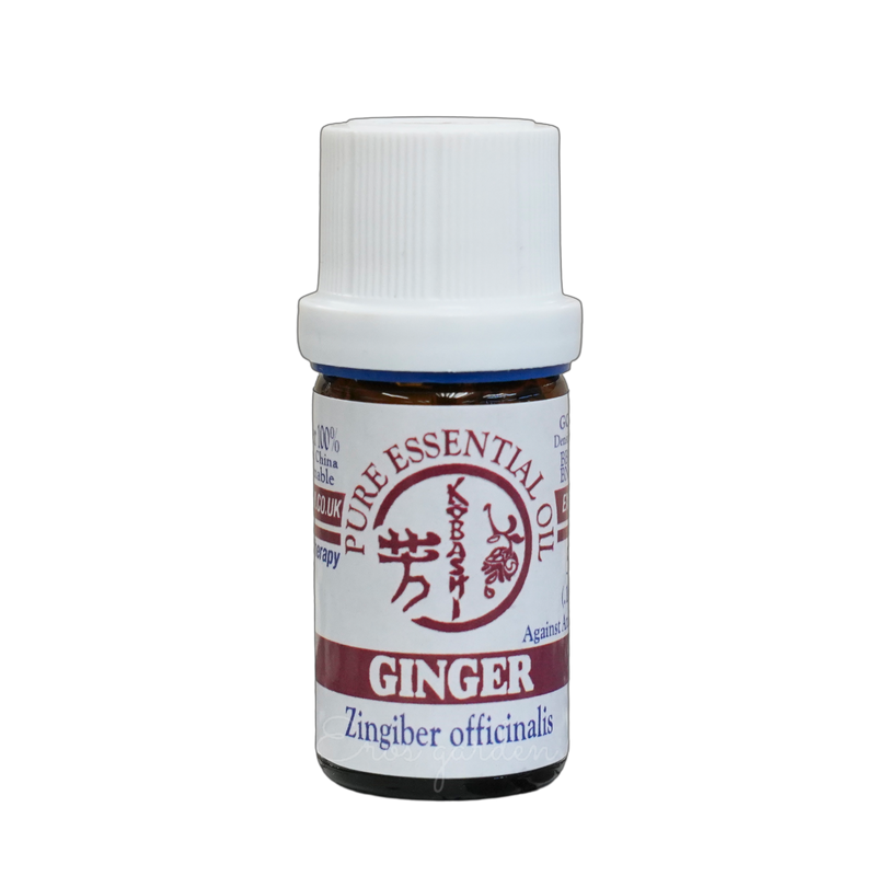 Kobashi 薑精油 Ginger Essential Oil